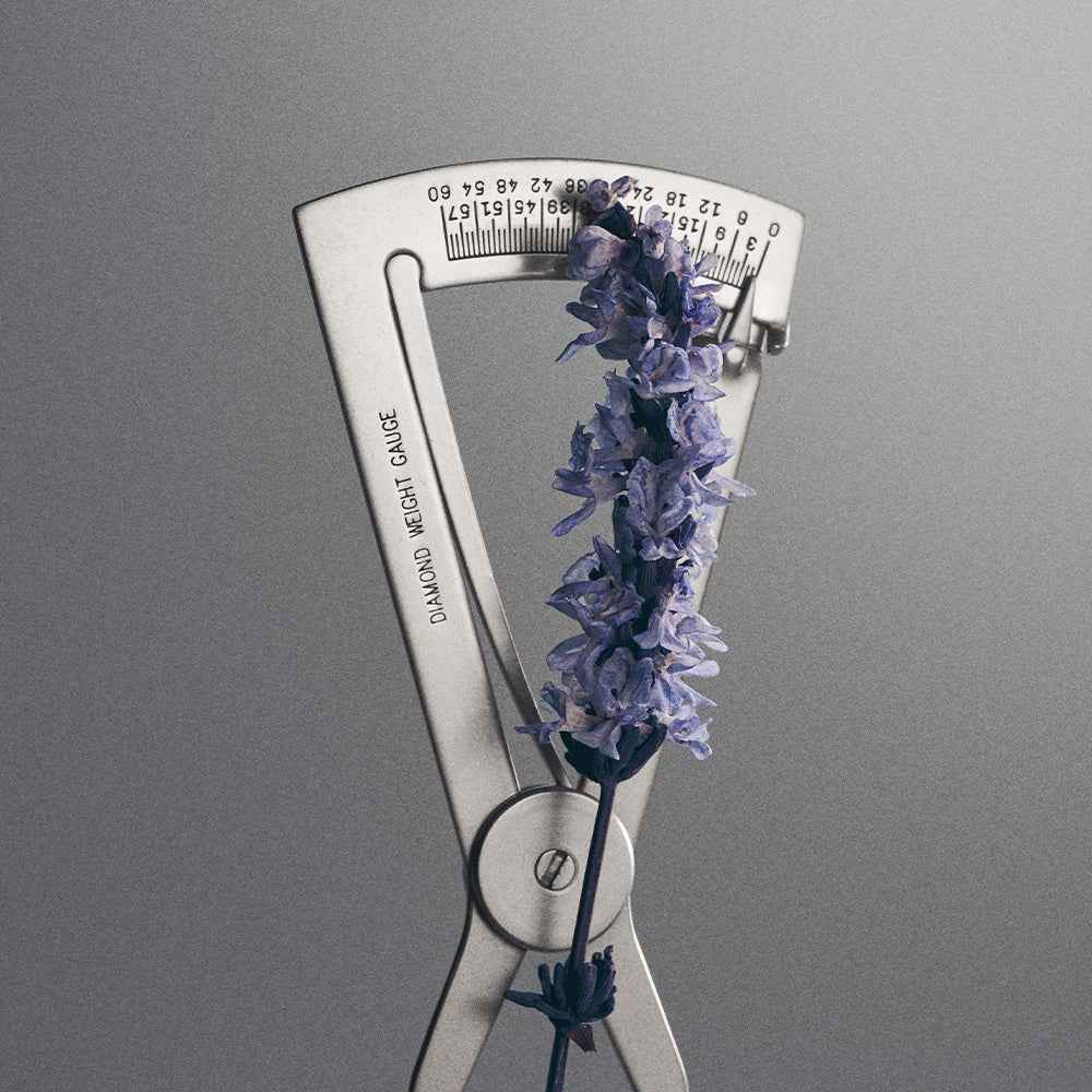 Creed Millésime Iris Debonair 100ml