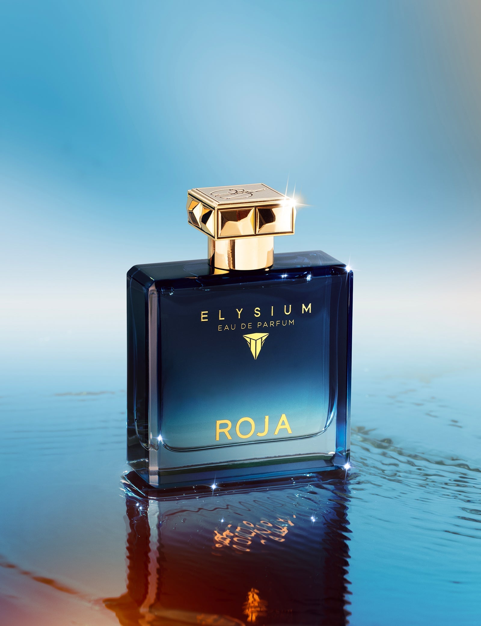 Roja Elysium Pour Homme EDP - 100ml