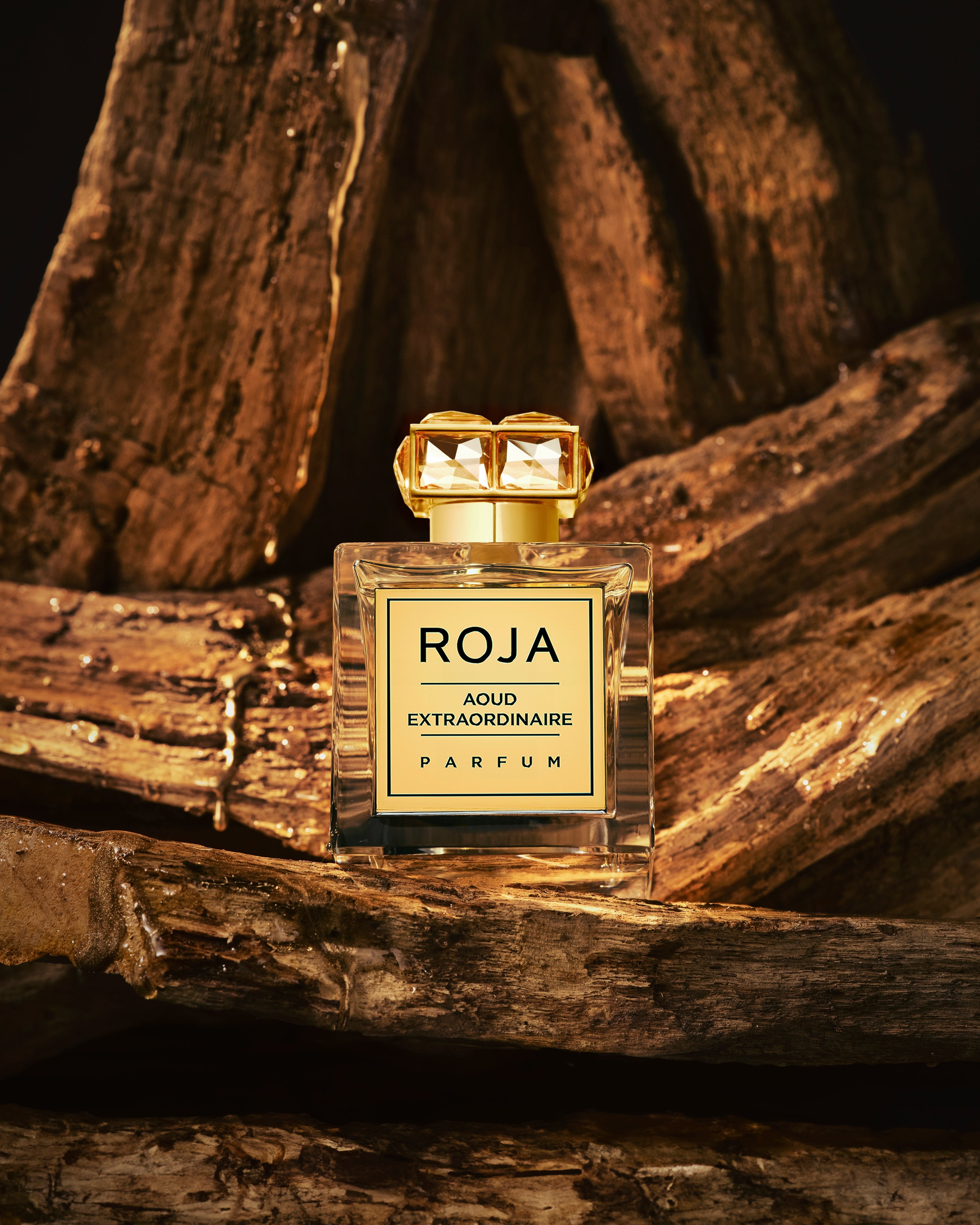Roja Aoud Extraordinaire Parfum - 100ml
