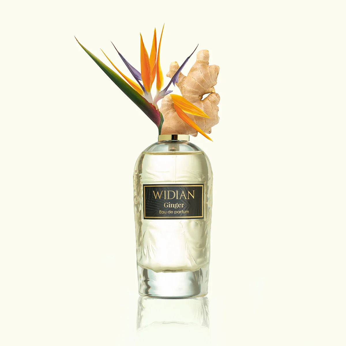 Widian Ginger Extrait De Parfum 100ml